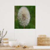 Dandelion Ballerina von Celeste Sheffey Poster (Küche)