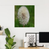 Dandelion Ballerina von Celeste Sheffey Poster (Heimbüro)