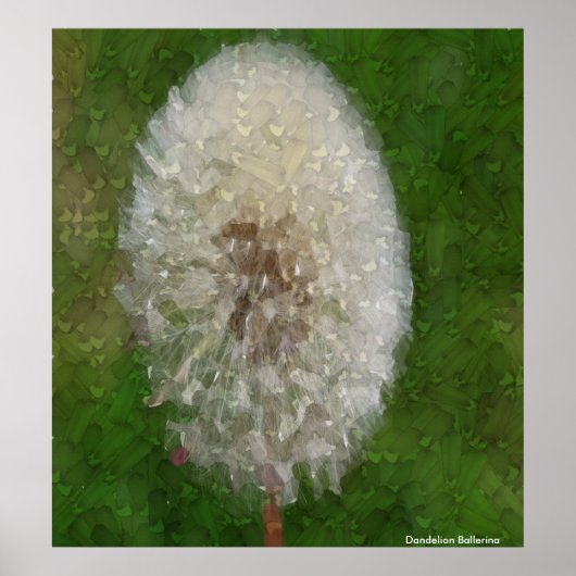 Dandelion Ballerina von Celeste Sheffey Poster (Vorne)