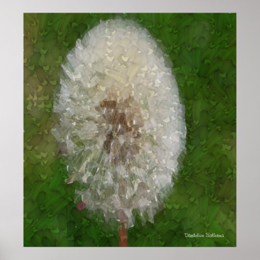 Dandelion Ballerina von Celeste Sheffey Poster (Vorne)