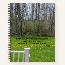 Dandelion Beauty - Reise