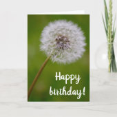 Dandelion Birthday Sessings Card Karte (Vorderseite)