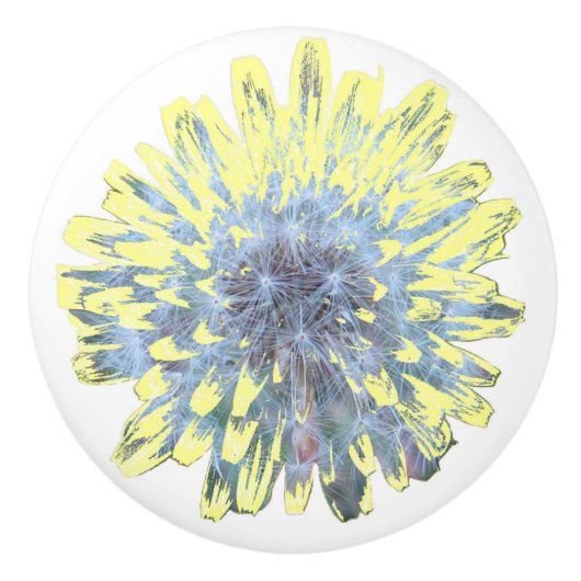Dandelion Blossom Keramikknauf (Vorderseite)