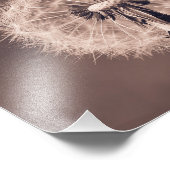 Dandelion Blowball Closeup Sepia Fotodruck (Ecke)