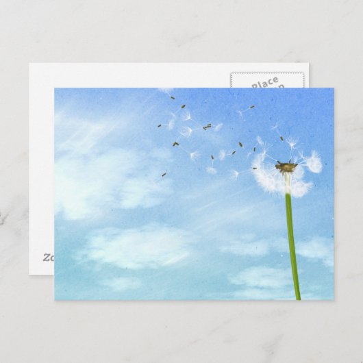 Dandelion Blue Sky Nature Illustration Postkarte (Vorne/Hinten)