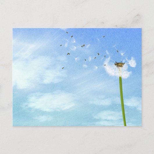 Dandelion Blue Sky Nature Illustration Postkarte (Vorderseite)
