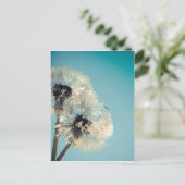 Dandelion Blue Sky Postkarte (Stehend Vorderseite)