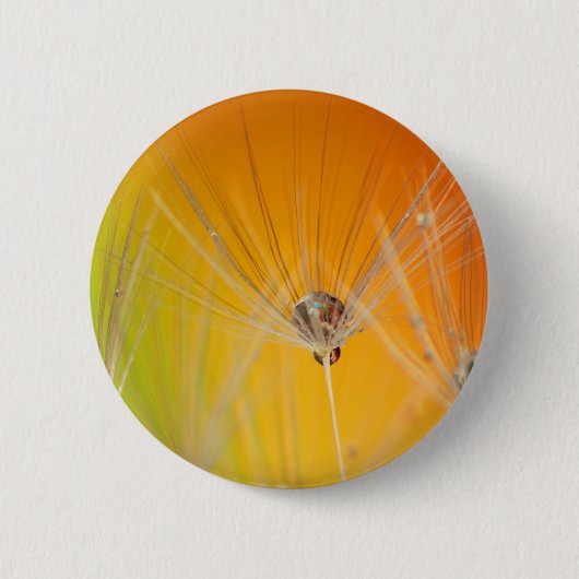 Dandelion blüht Blume Destiny Peace Liebe Art Button (Vorderseite)