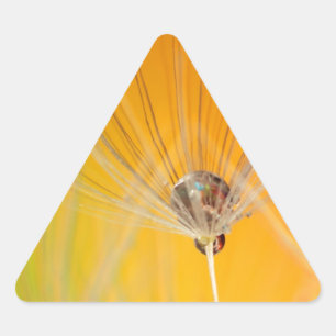 Dandelion blüht Blume Destiny Peace Liebe Art Dreieckiger Aufkleber