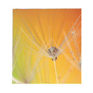 Dandelion blüht Blume Destiny Peace Liebe Art Notizblock