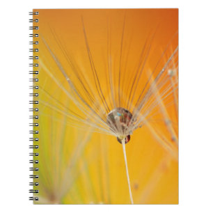 Dandelion blüht Blume Destiny Peace Liebe Art Notizblock