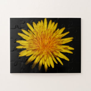 Dandelion Blume 11x14 30pc jpcn Puzzle