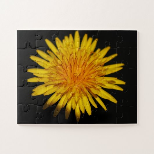 Dandelion Blume 11x14 30pc jpcna Puzzle (Horizontal)