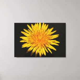 Dandelion Blume 36x24 (90x60cm) waccna Leinwanddruck