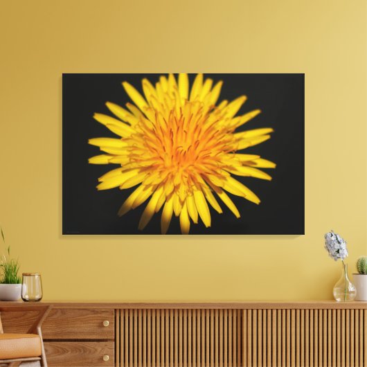 Dandelion Blume 36x24 (90x60cm) waccna Leinwanddruck (Insitu (Wohnzimmer))
