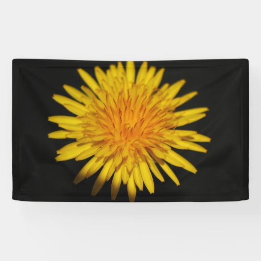 Dandelion-Blume Banner (Horizontal)