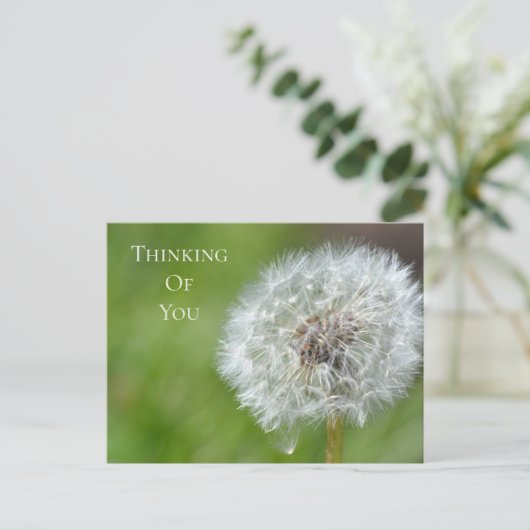 Dandelion Blume Denken Sie an Sie Postkarte (Stehend Vorderseite)