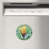 Dandelion-Blume fast in Bloom Magnet (In Situ (Geschirrspüler))