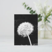 Dandelion Blume Fluff Zeichen des Sommers Postkarte (Stehend Vorderseite)