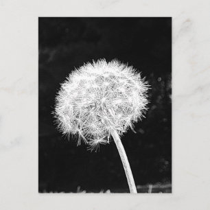 Dandelion Blume Fluff Zeichen des Sommers Postkarte