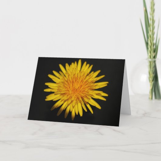 Dandelion Blume gccna Karte (Vorderseite)