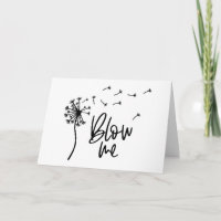 Dandelion-Blume geblasen mir ein Geschenk für Freu