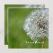 Dandelion Blume Geburtstag Einladung (Vorne/Hinten)