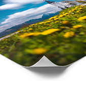 Dandelion-Blume in der Kirche des Primus Jamnik Sl Poster (Ecke)