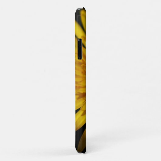 Dandelion Blume iphcnm Case-Mate iPhone Hülle (Hinten/Rechts)