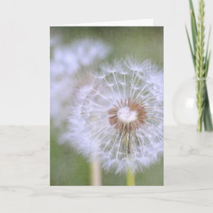 Dandelion-Blume Karte