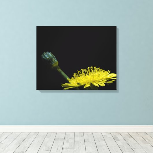 Dandelion-Blume Leinwanddruck (Insitu (Holzboden))