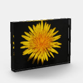 Dandelion-Blume pbcnm Fotoblock (Links)