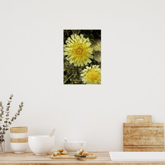 Dandelion-Blume Poster (Küche)