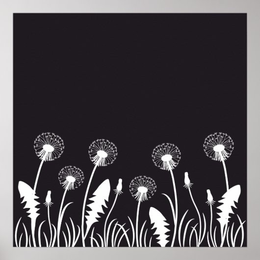 Dandelion-Blume Poster (Vorne)