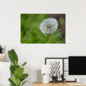 Dandelion-Blume Poster (Heimbüro)