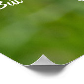 Dandelion-Blume Poster (Ecke)