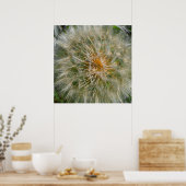 Dandelion-Blume Poster (Küche)