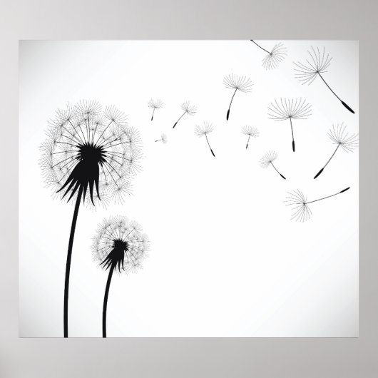 Dandelion-Blume Poster (Vorne)