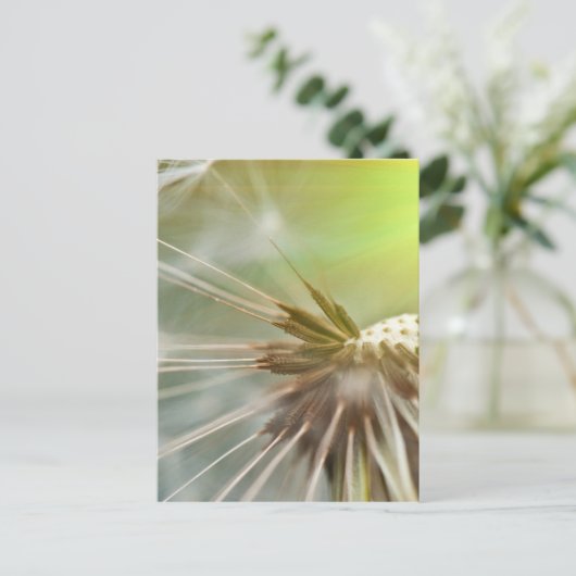 Dandelion-Blume Postkarte (Stehend Vorderseite)