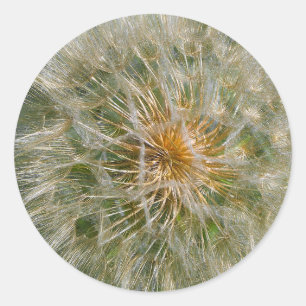 Dandelion-Blume Runder Aufkleber