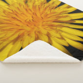 Dandelion Blume sbcna Sherpadecke (3/4)