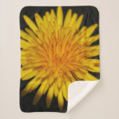 Dandelion Blume sbcnm Sherpadecke (Vorderseite)