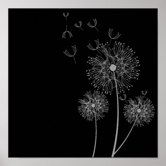 Dandelion Blume Schwarz-Weiß Poster (Vorne)