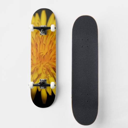 Dandelion Blume sdcnm Skateboard (Vorderseite)