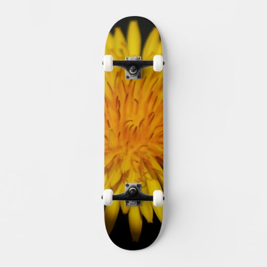 Dandelion Blume sdcnm Skateboard (Vorderseite)