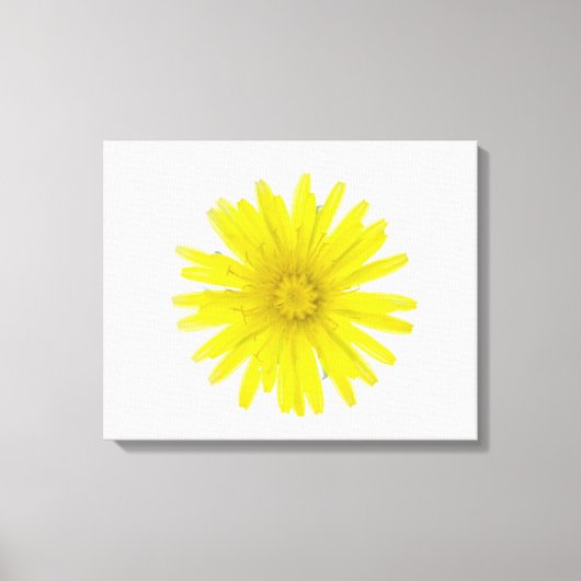 Dandelion-Blume (Taraxacum officinale), ein Kompos Leinwanddruck (Vorderseite)