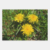 Dandelion Blume Trio Geschenkpapier Set (Vorderseite 3)