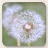 Dandelion-Blume Untersetzer (Vorderseite)