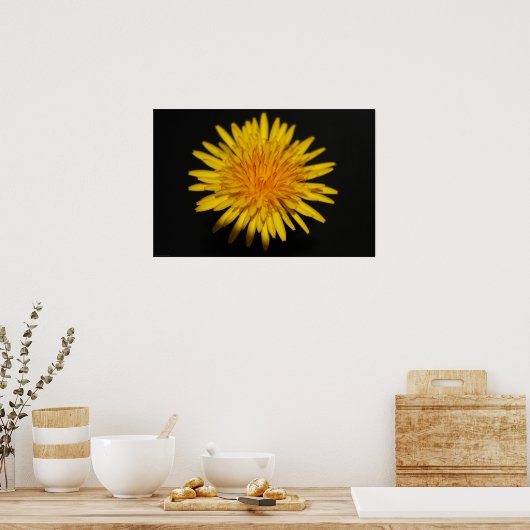 Dandelion Blume wapcn Poster (Küche)