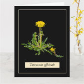 Dandelion botanical karte (Gelbe Blume)